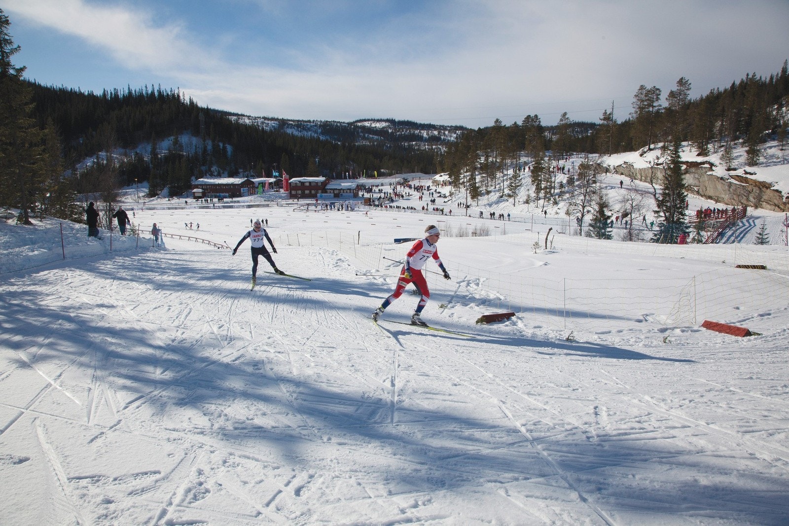 Foto fra Selbuskogen skisenter, som ligger kort vei fra hyttefeltet Galleribilde