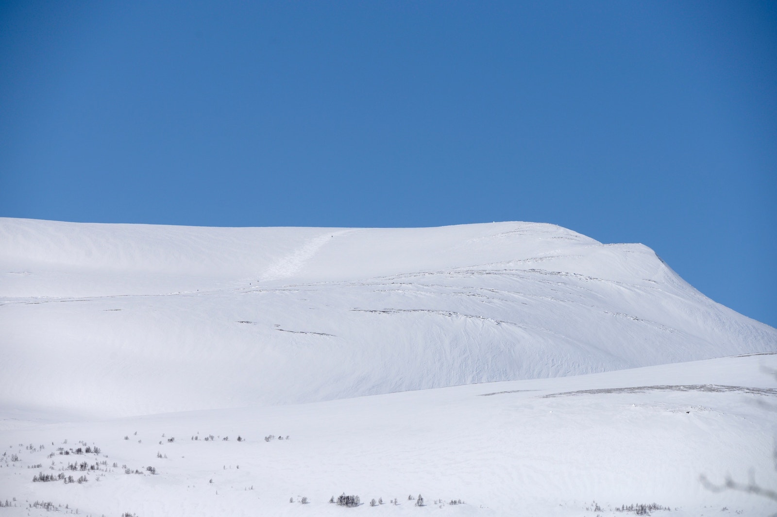 Utsikt til Hornet fra hytta. Galleribilde