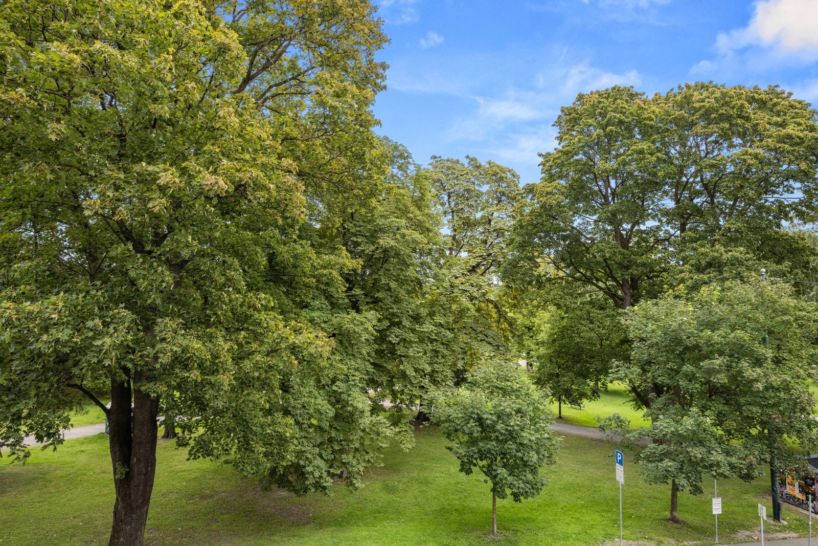 - Nydelig utsikt mot Sofienbergparken - uten innsyn - Galleribilde