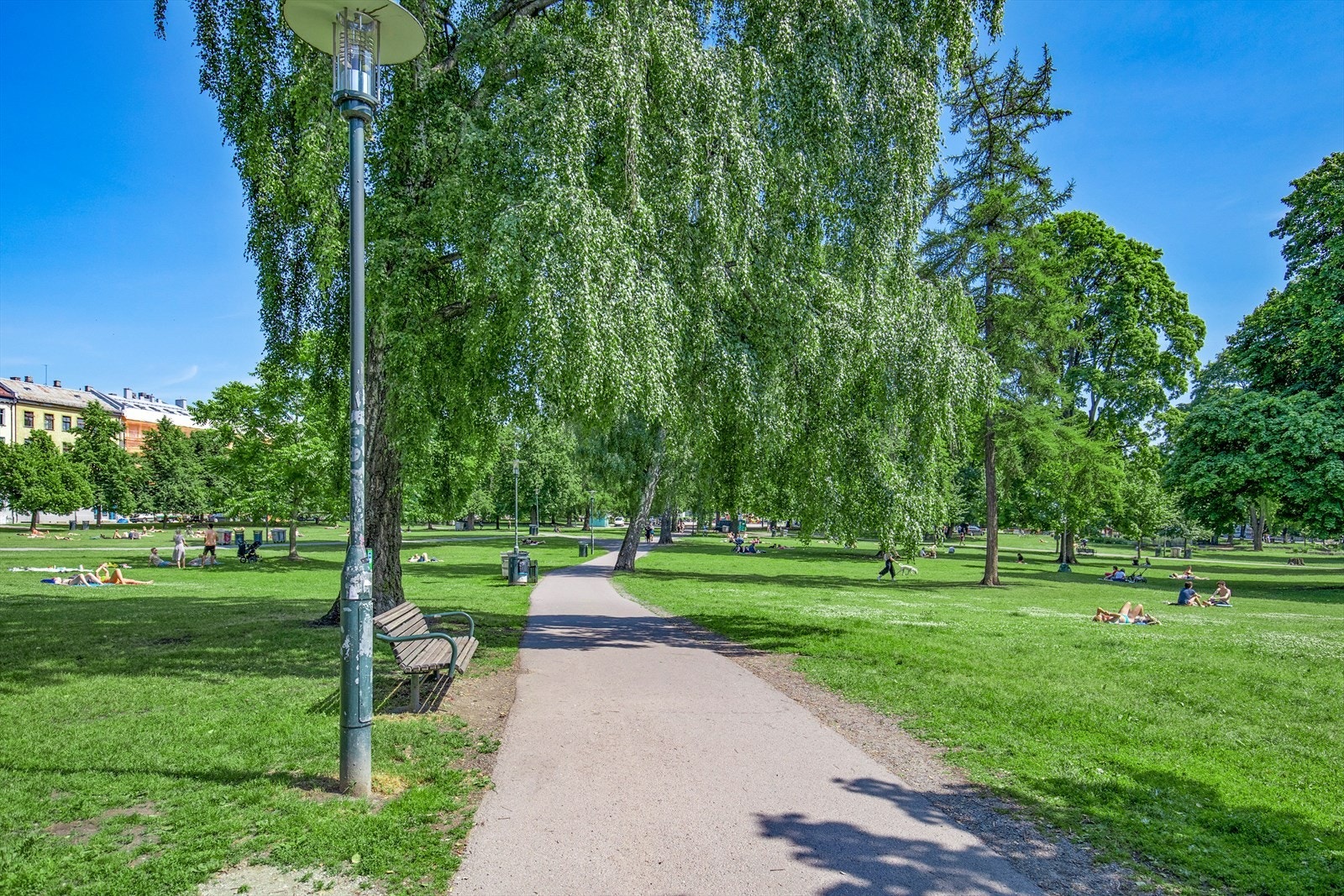 Sofienbergparken. Galleribilde
