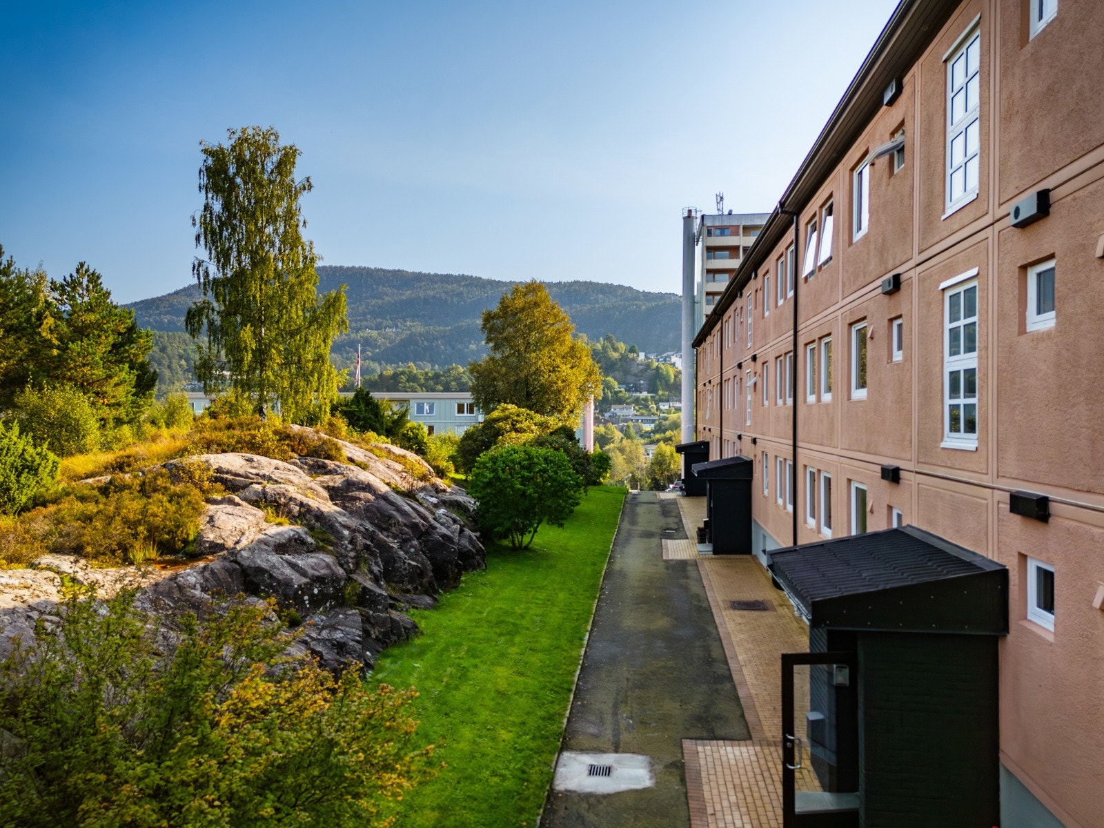 Velkommen til en hyggelig visning! Galleribilde