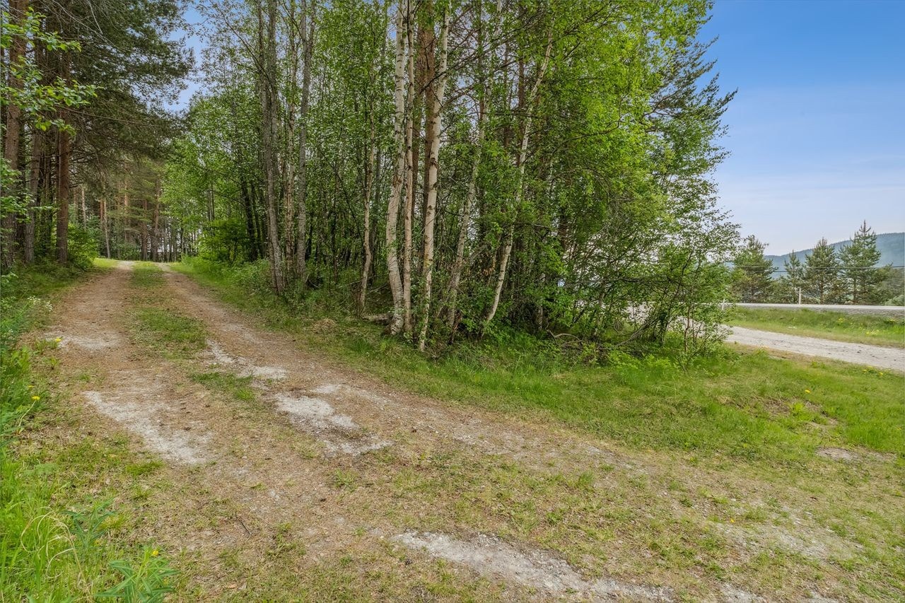 Innkjøring til eiendommen. Enkel adkomst Galleribilde