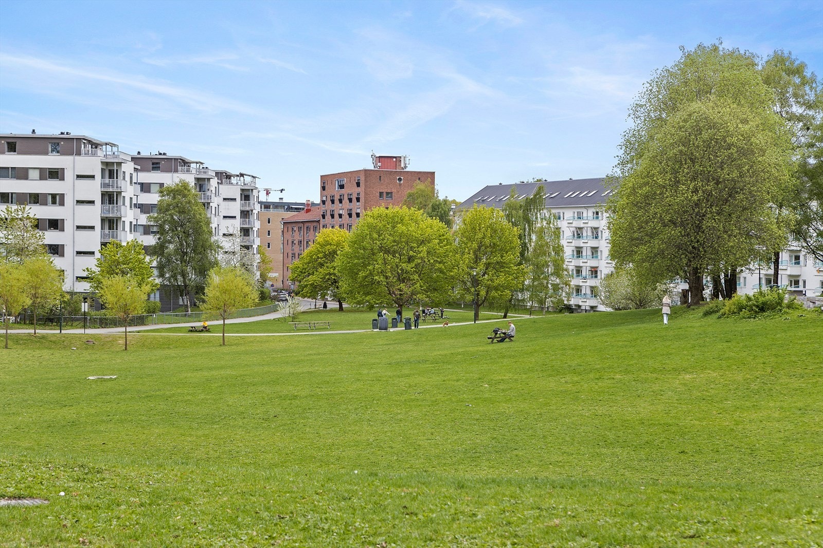 Iladalen park er en grønn oase med store, åpne gressområder, perfekt for avslapning, piknik eller en rolig spasertur i nærområdet. Galleribilde
