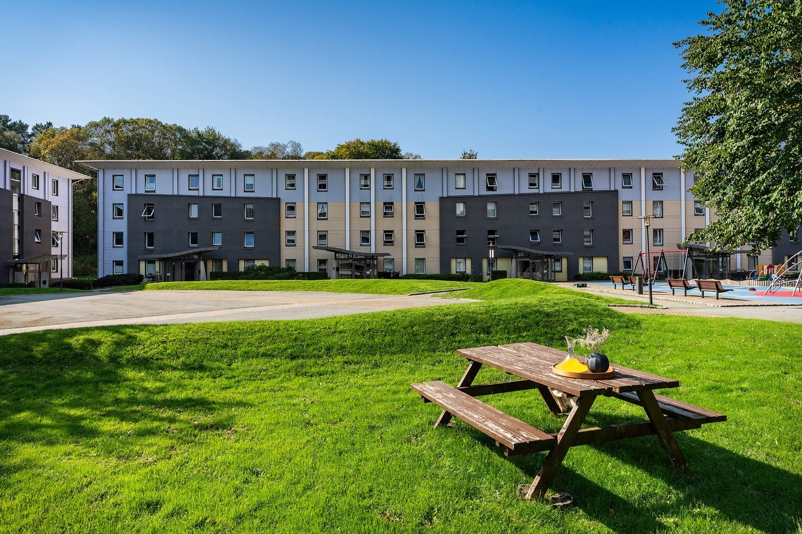 - Nyt en solfylt dag i det fine fellesområdet med flotte marker og lekeplass - Galleribilde