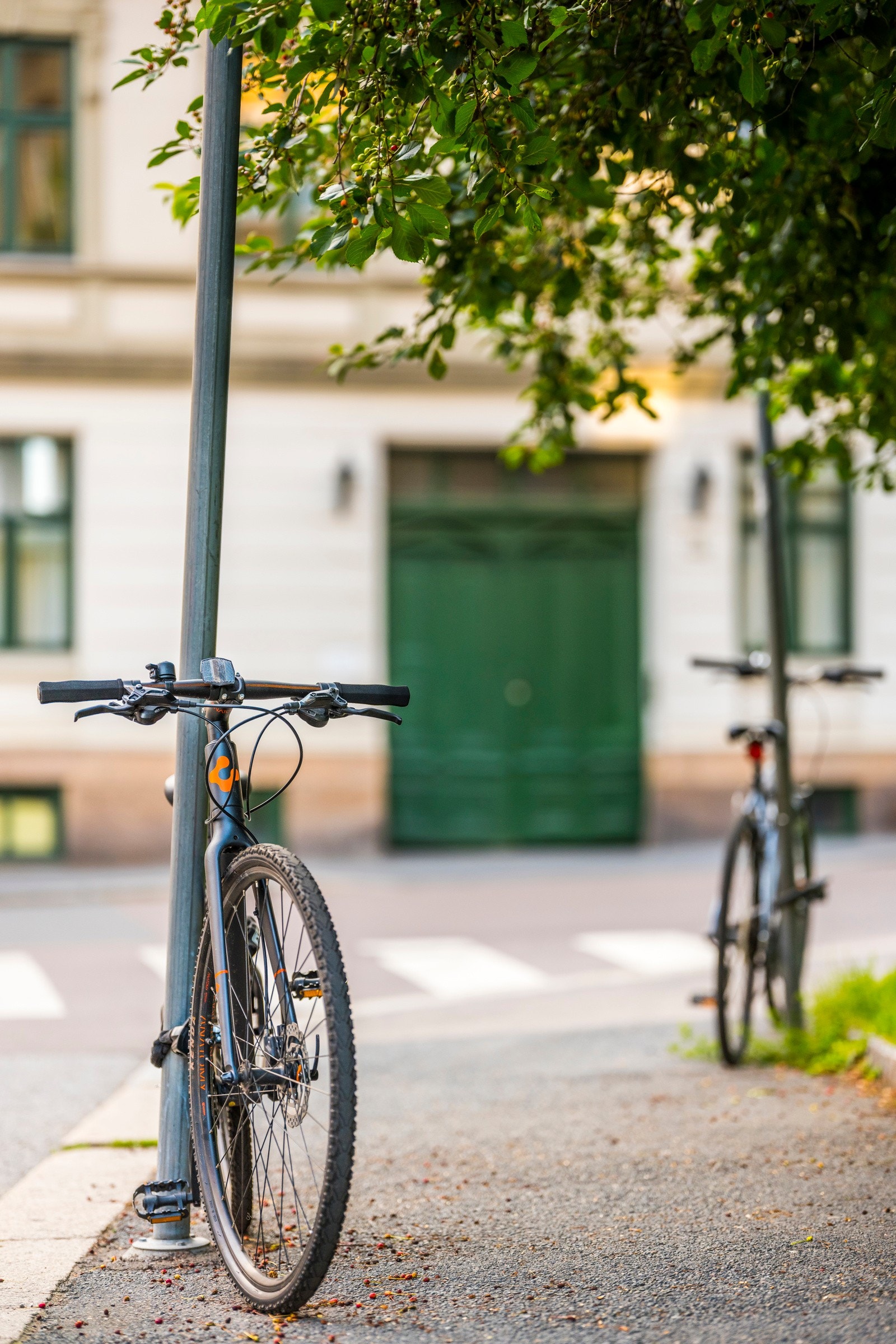 Velkommen på visning! Galleribilde