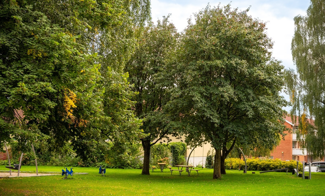 Nærhet til skoler, barnehager, offentlig kommunikasjon og gode servicetilbud. Galleribilde