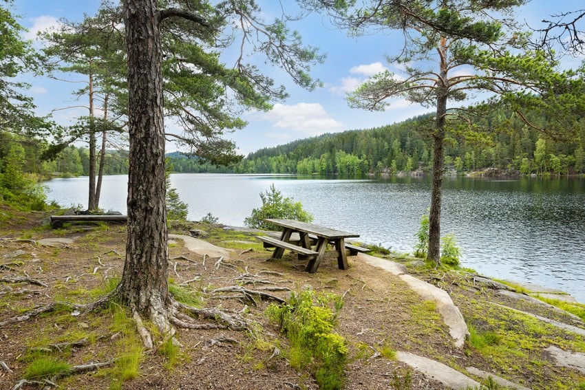 Steinbruvannet er spesielt populært om sommeren, der beboere fra Groruddalen samles for å fiske, grille og nyte godt vær! Galleribilde