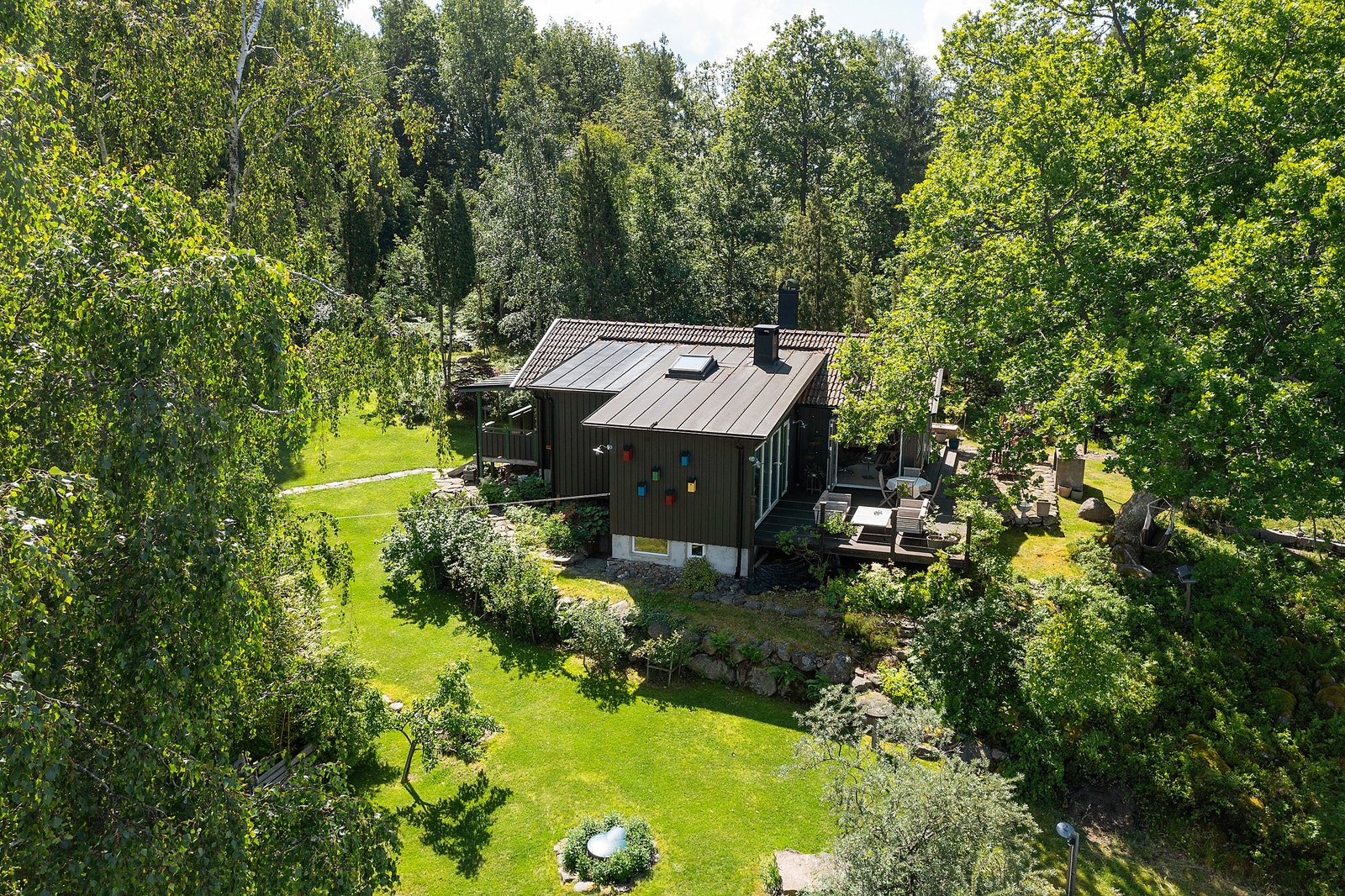 Grönska överallt Galleribilde