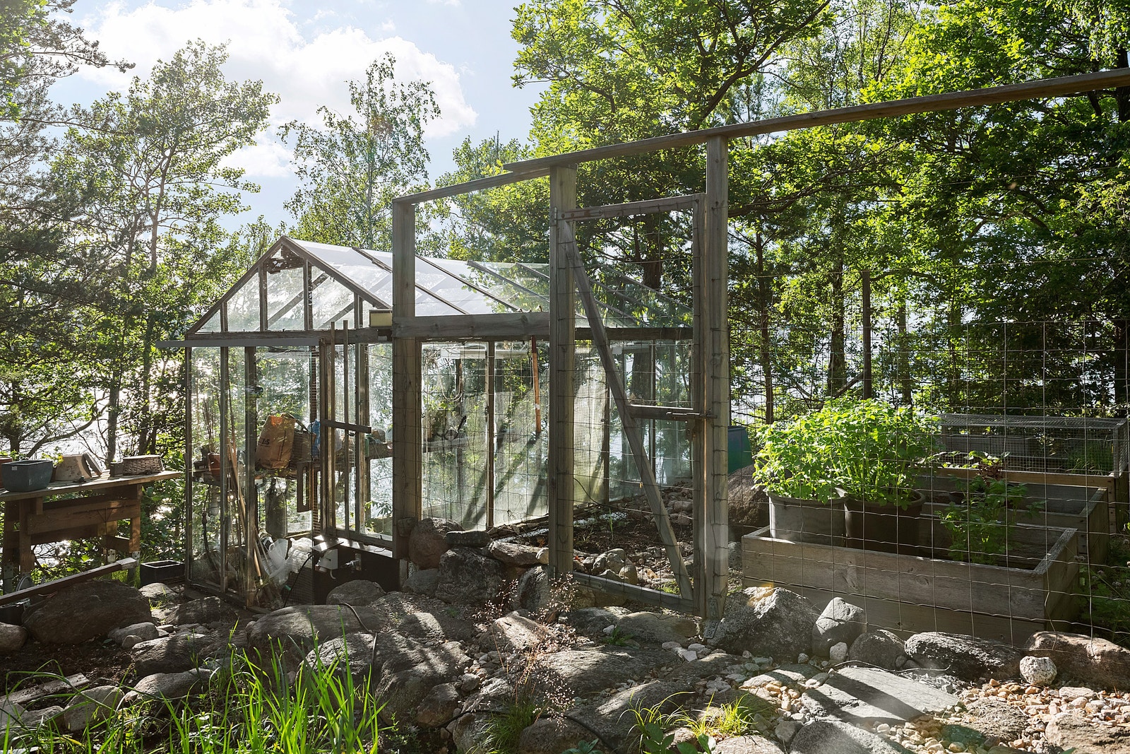 Odla kryddor, grönsaker och blommor Galleribilde