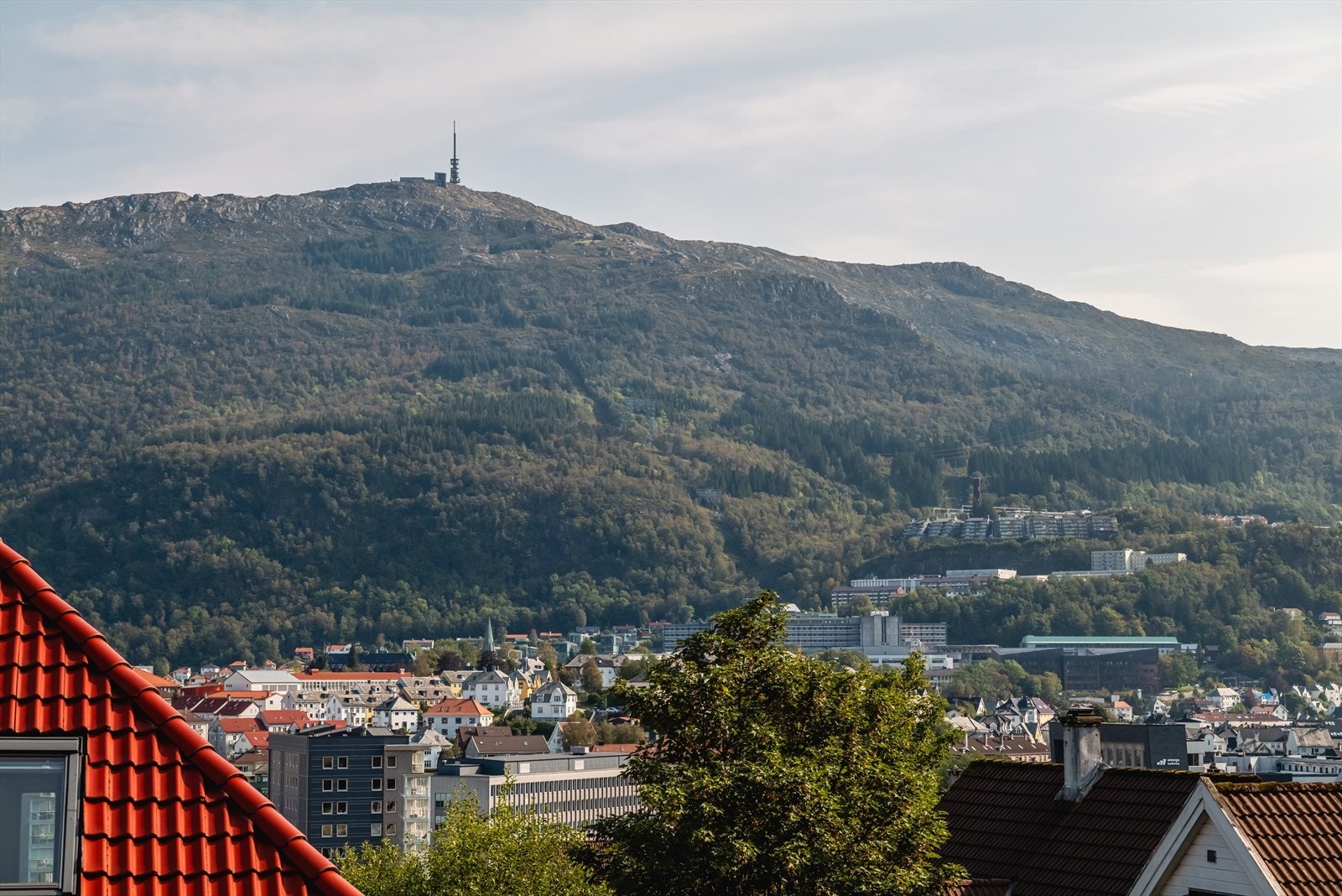 Søndre Skogveien har en sentral beliggenhet i rolige, barnevennlige og naturskjønne omgivelser like ved foten av Løvstakken. Herfra er det fin utsikt over nærområdet, Minde, Fløyen og Ulriken. Galleribilde