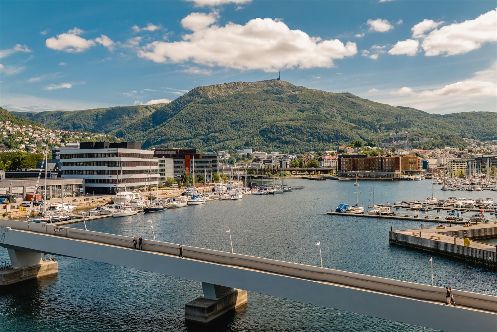 Velkommen til visning i flotte omgivelser! Galleribilde