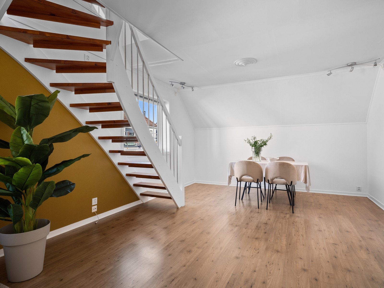 God plass til spisebord Galleribilde