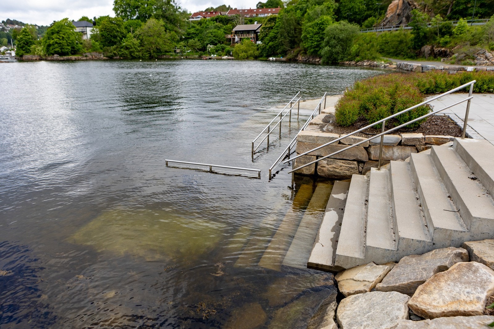 Løkholmen Galleribilde