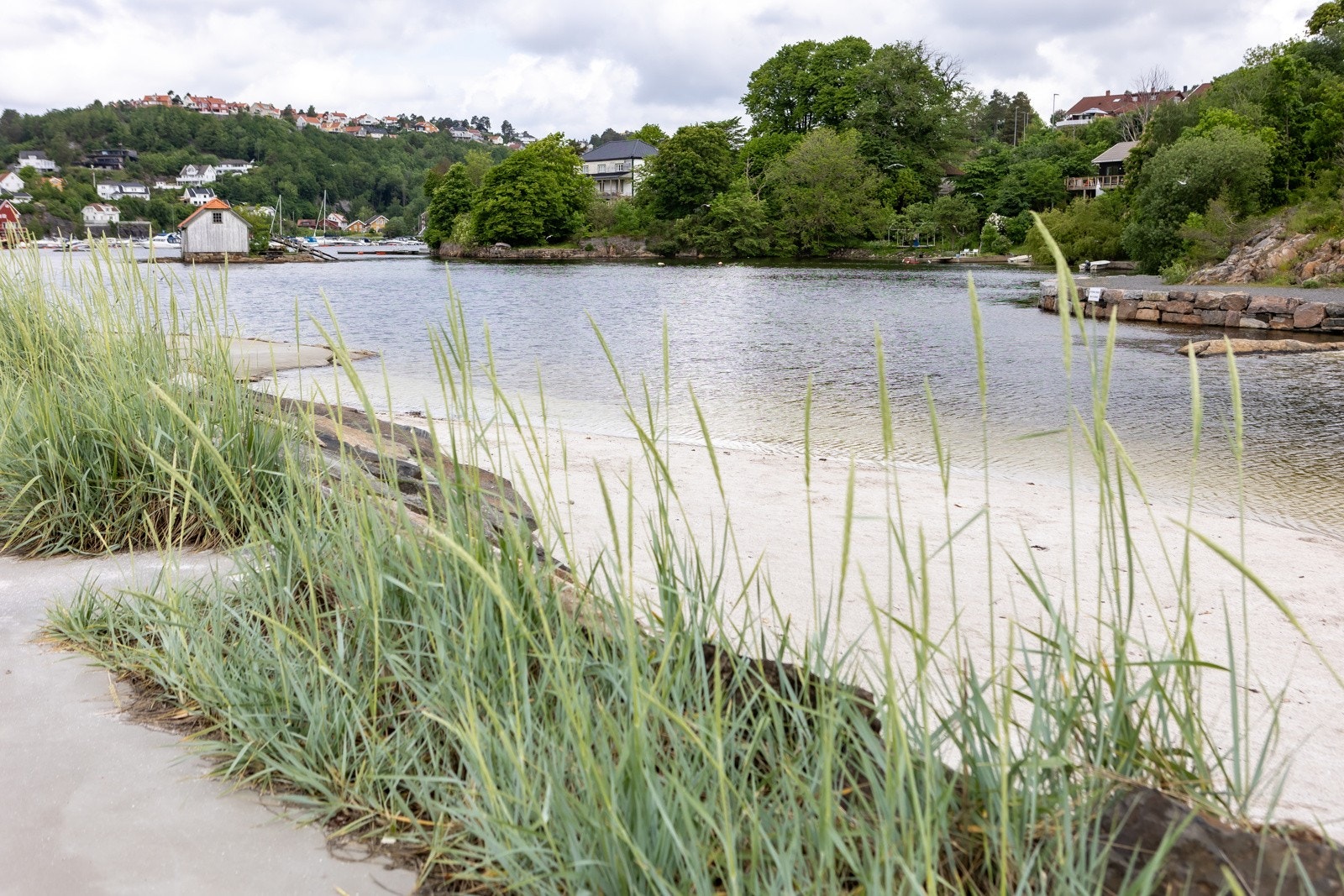 Løkholmen Galleribilde