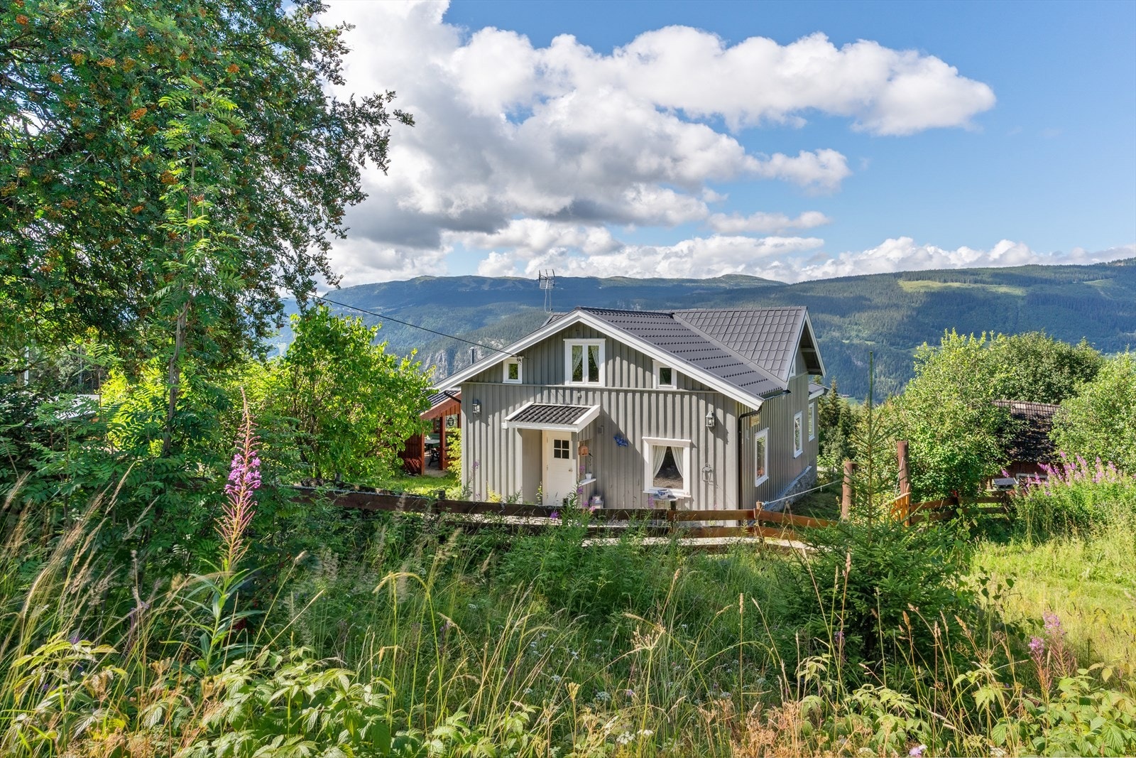 Velkommen til Storrøvegen 145! Galleribilde
