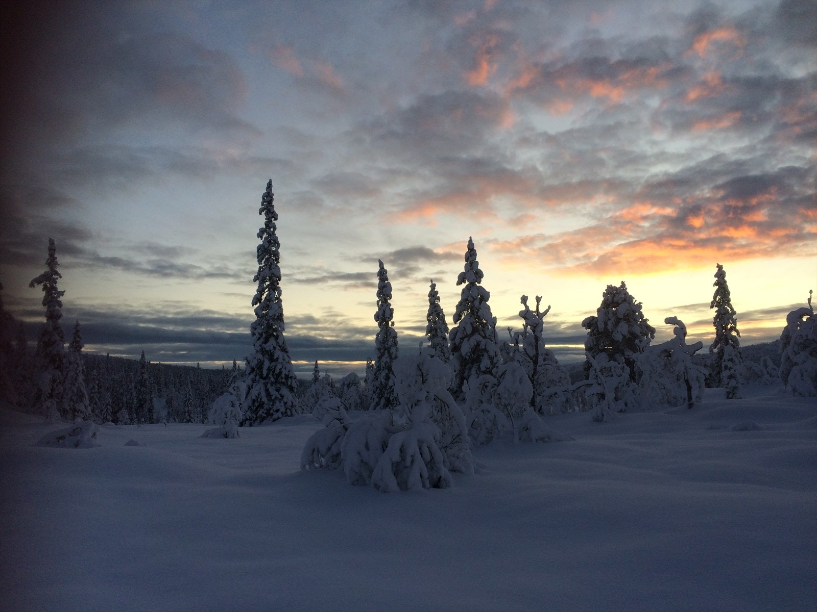 Selgers private bilder - vinterstemning - Galleribilde