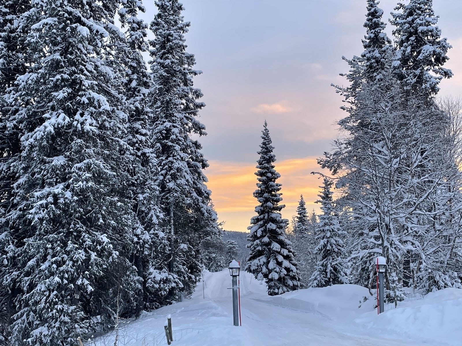 Selgers private bilder - på vei til hytta - Galleribilde