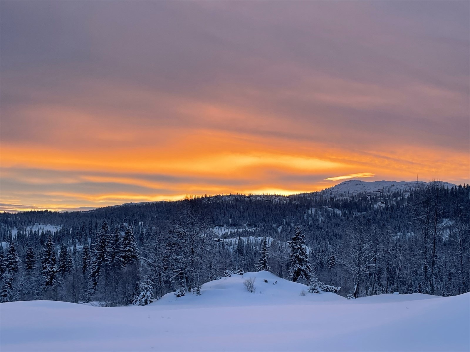 Selgers private bilder - utsiktsbilde over åsene - Galleribilde