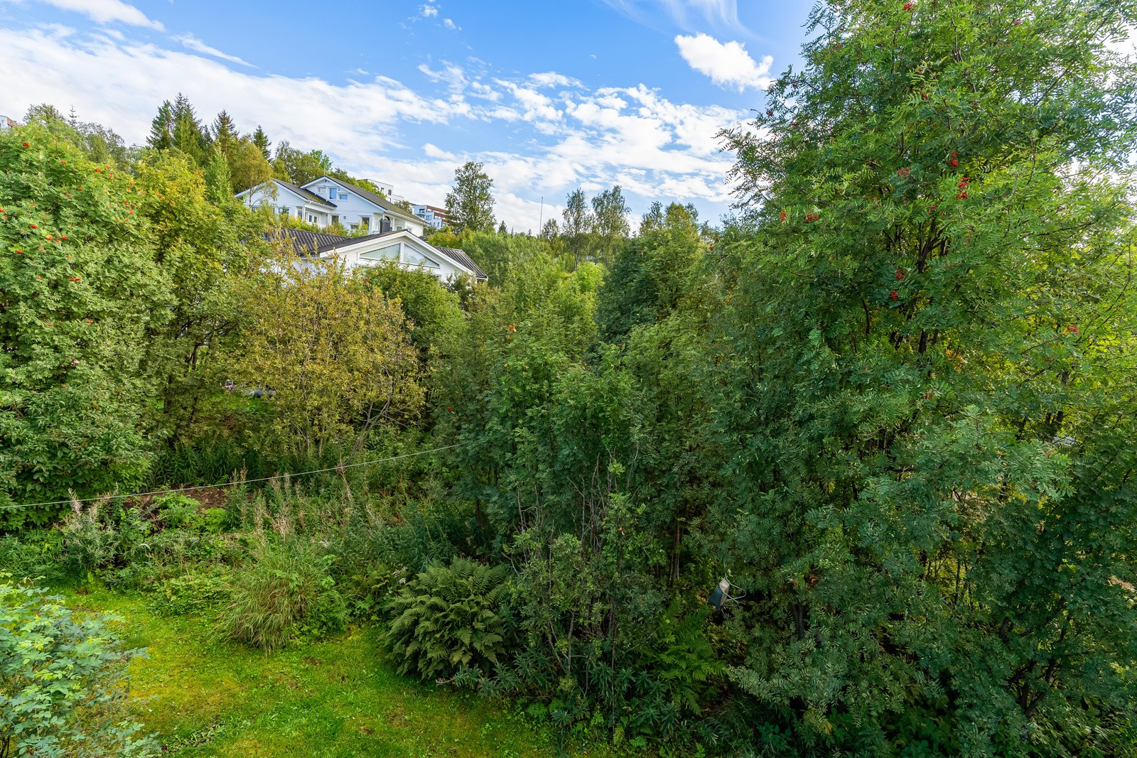 Skap ditt drømmehjem i et av byens mest attraktive og rolige nabolag! Boligtomt på ca. 408 kvm med gode solforhold!