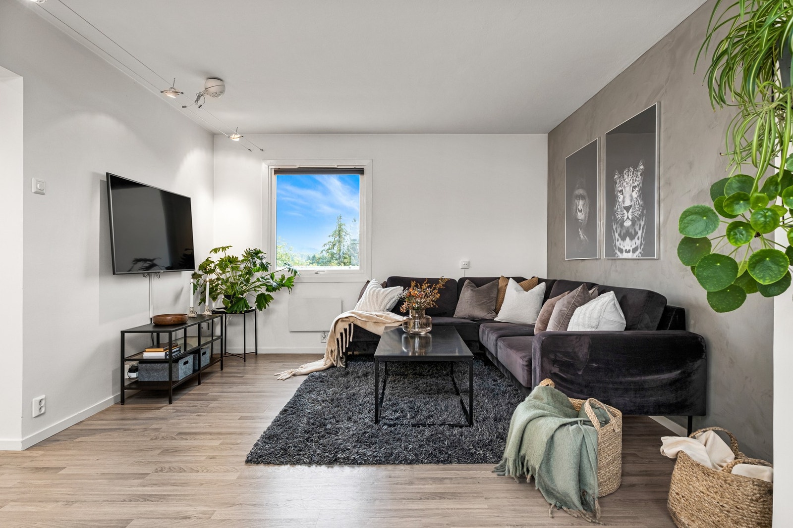 Her er det god plass til en hjørnesofa med tilhørende møblement. Galleribilde