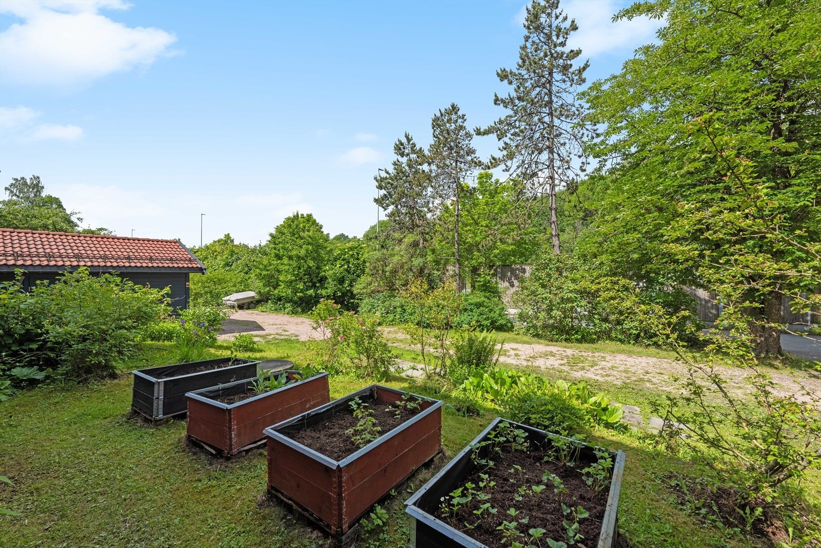 Hagen er vakkert beplantet med diverse utvalg av busker og planter. Galleribilde
