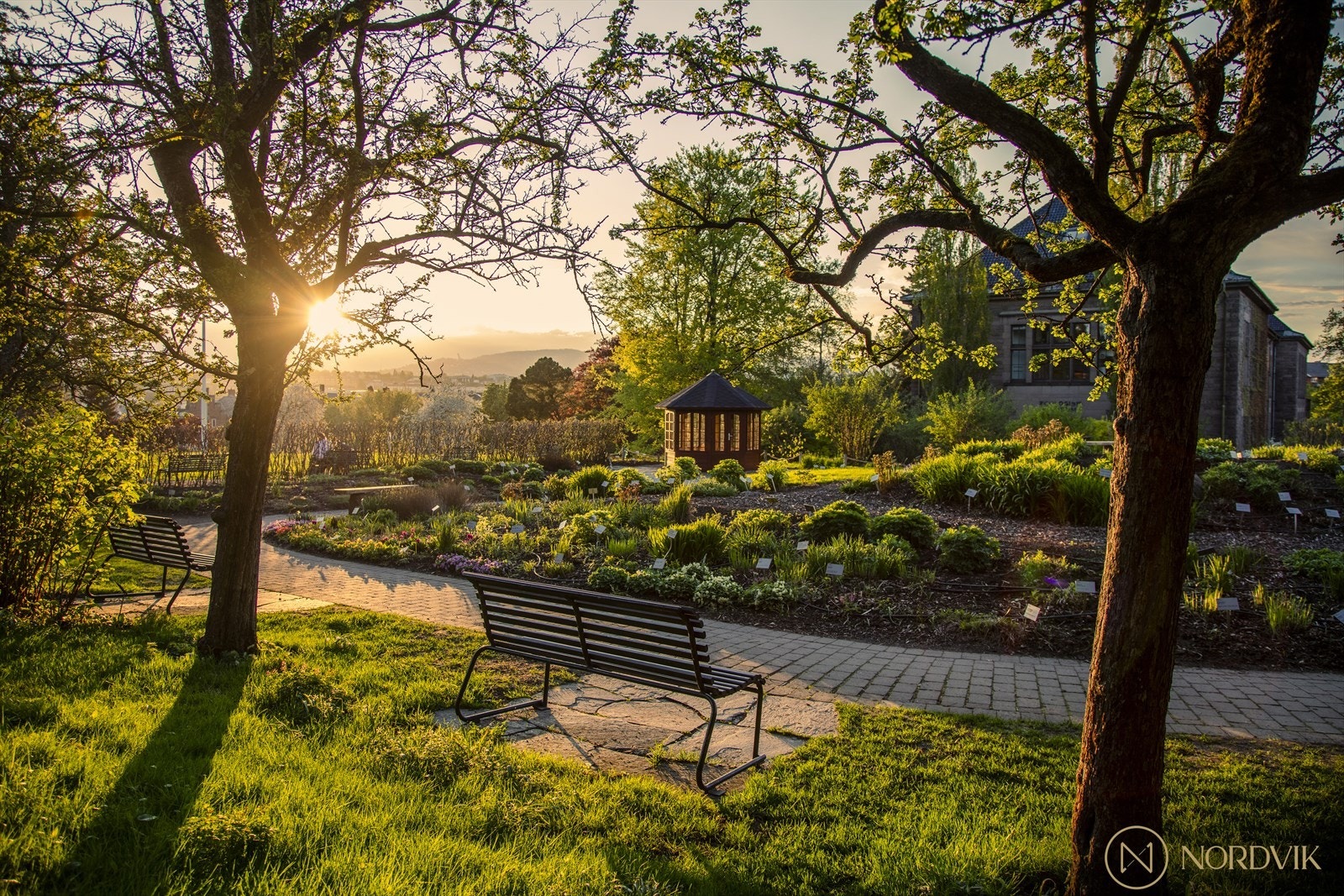 Vakre Botanisk hage er kun noen få skritt unna leiligheten, ypperlig for både hygge og trening! Galleribilde