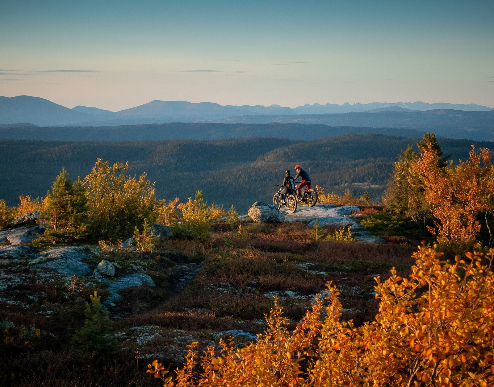 Sykkelstien "Hallingspranget" er en familievennlig sti på 17 km fra toppen av alpinsentret ned til Nesbyen sentrum Galleribilde