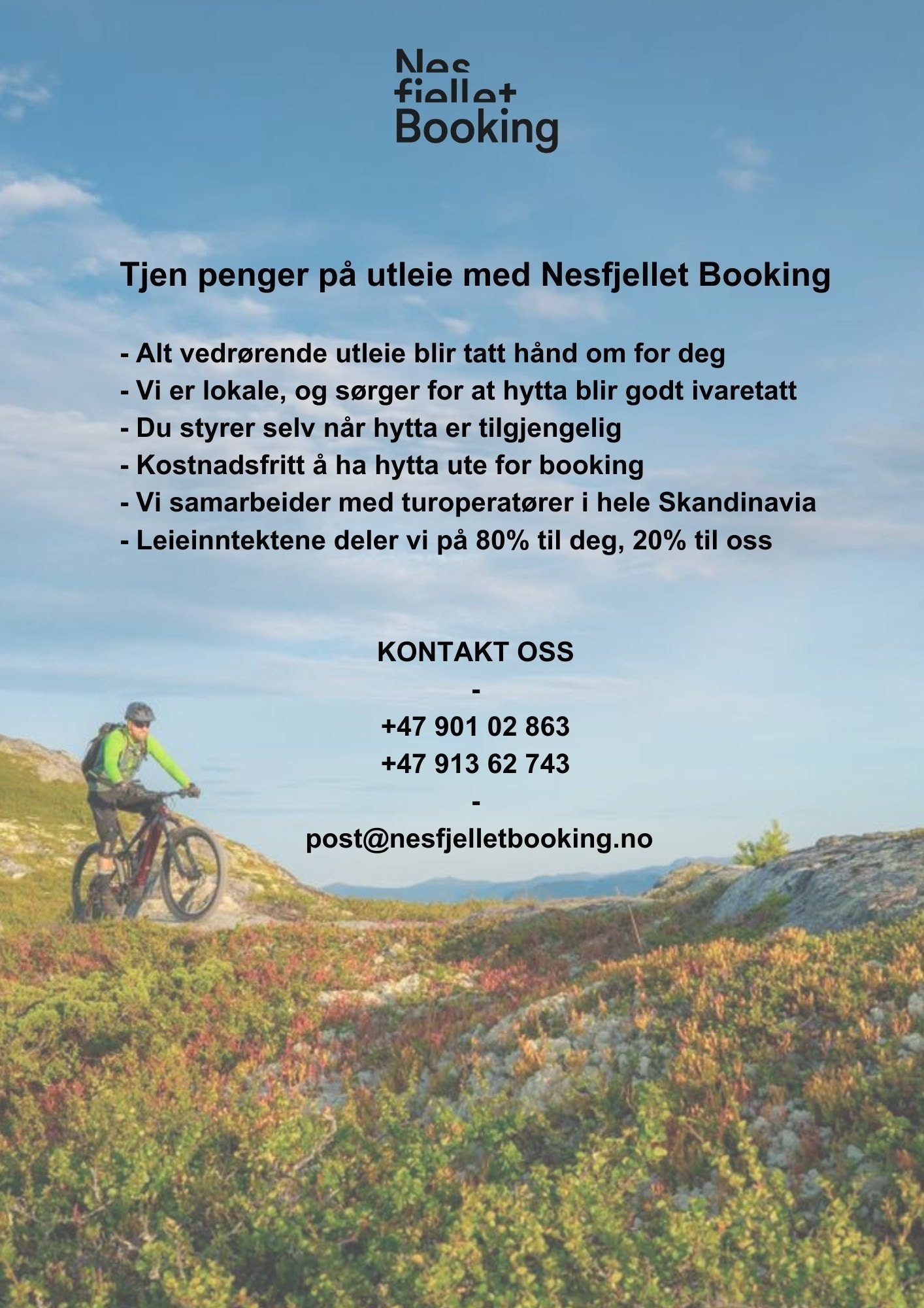 Nesfjellet tilbyr utleie av hytter Galleribilde