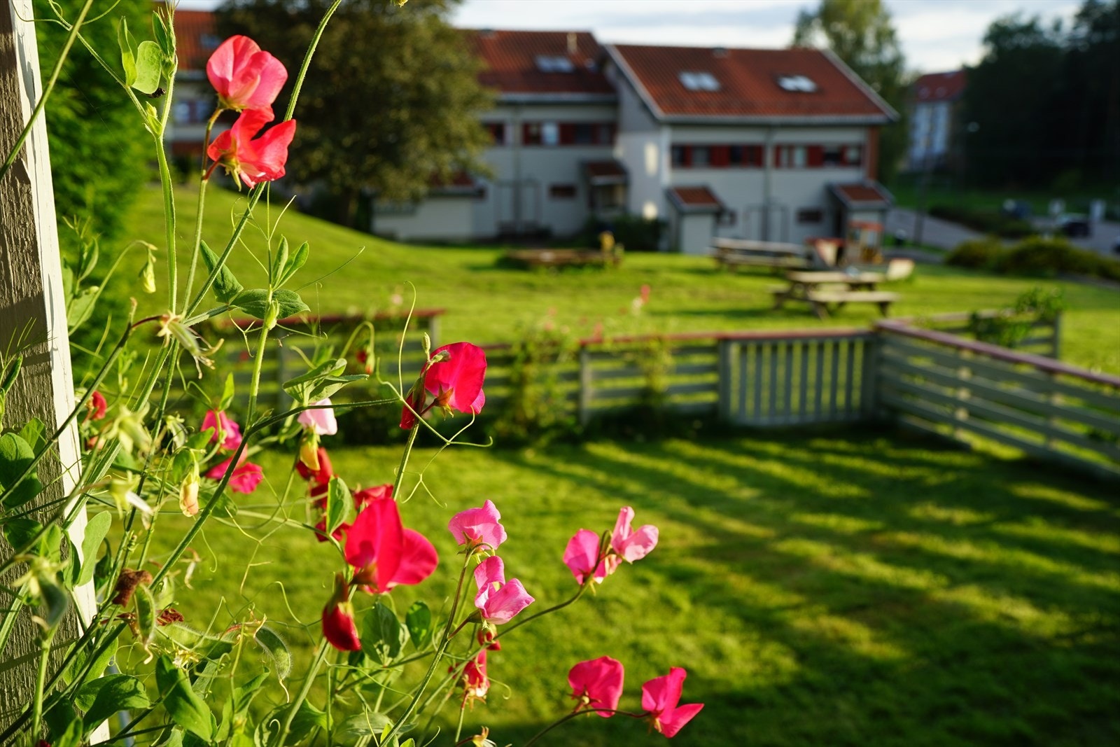 Bilde tatt av selger. Galleribilde