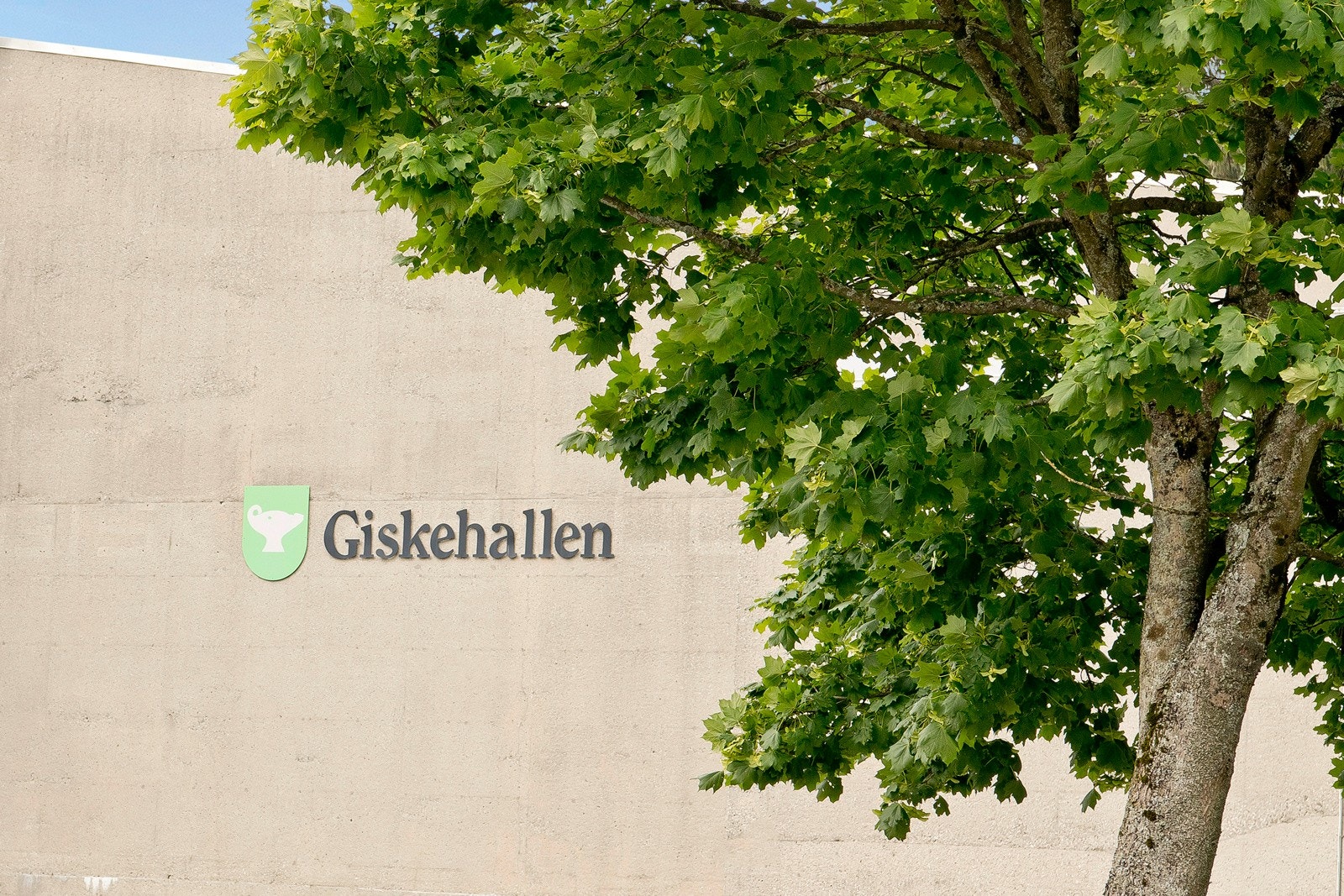 Sandnes stadion og Giskehallen har fotballbane, treningssenter og svømmehall Galleribilde