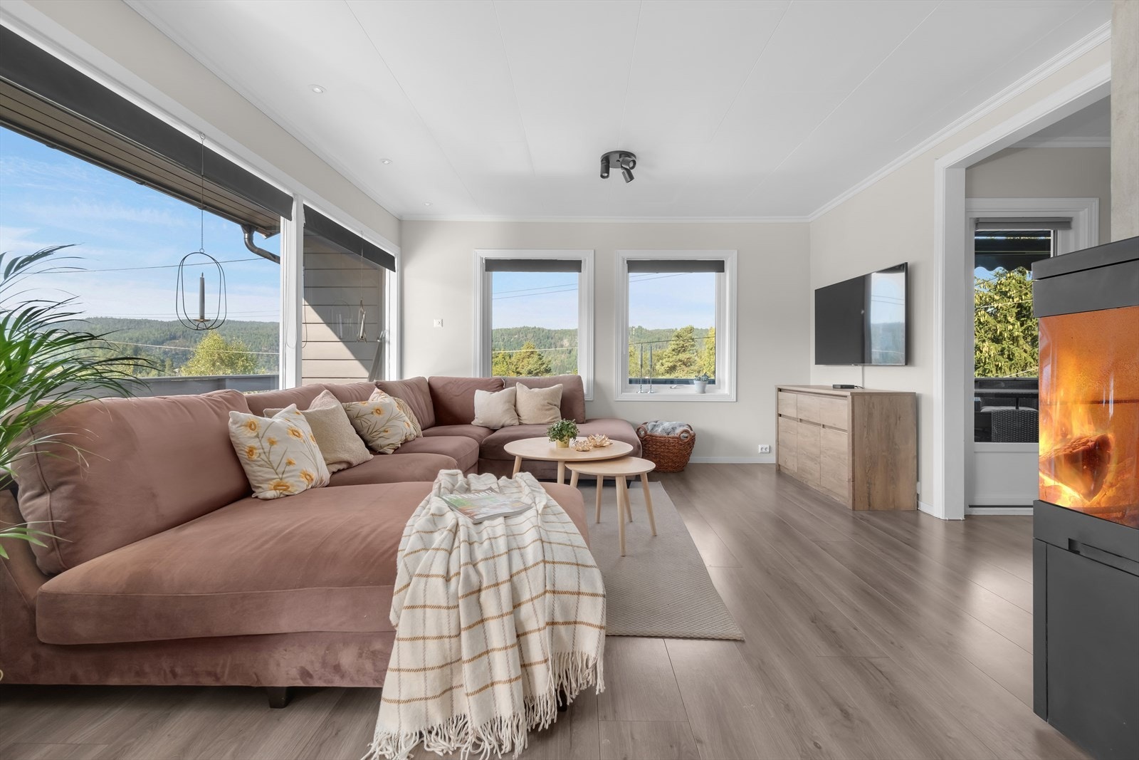 Varmepumpe og vedovn (2020), som bidrar til hyggelig stemning. Galleribilde