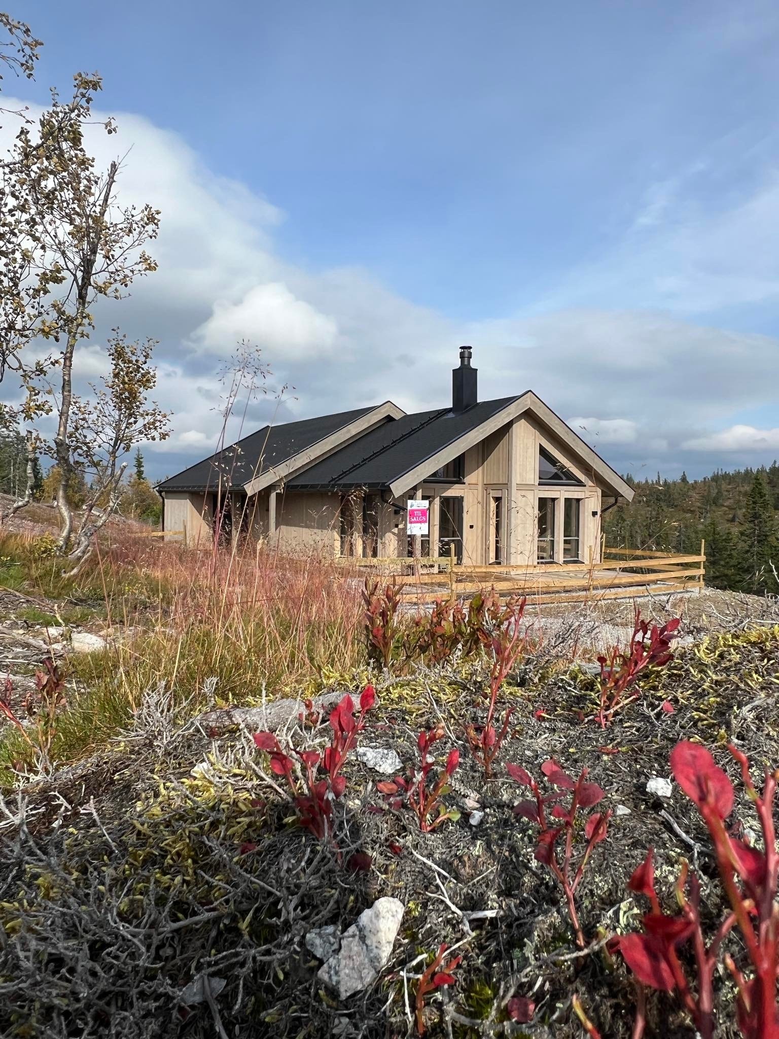 Blåne hytte Galleribilde