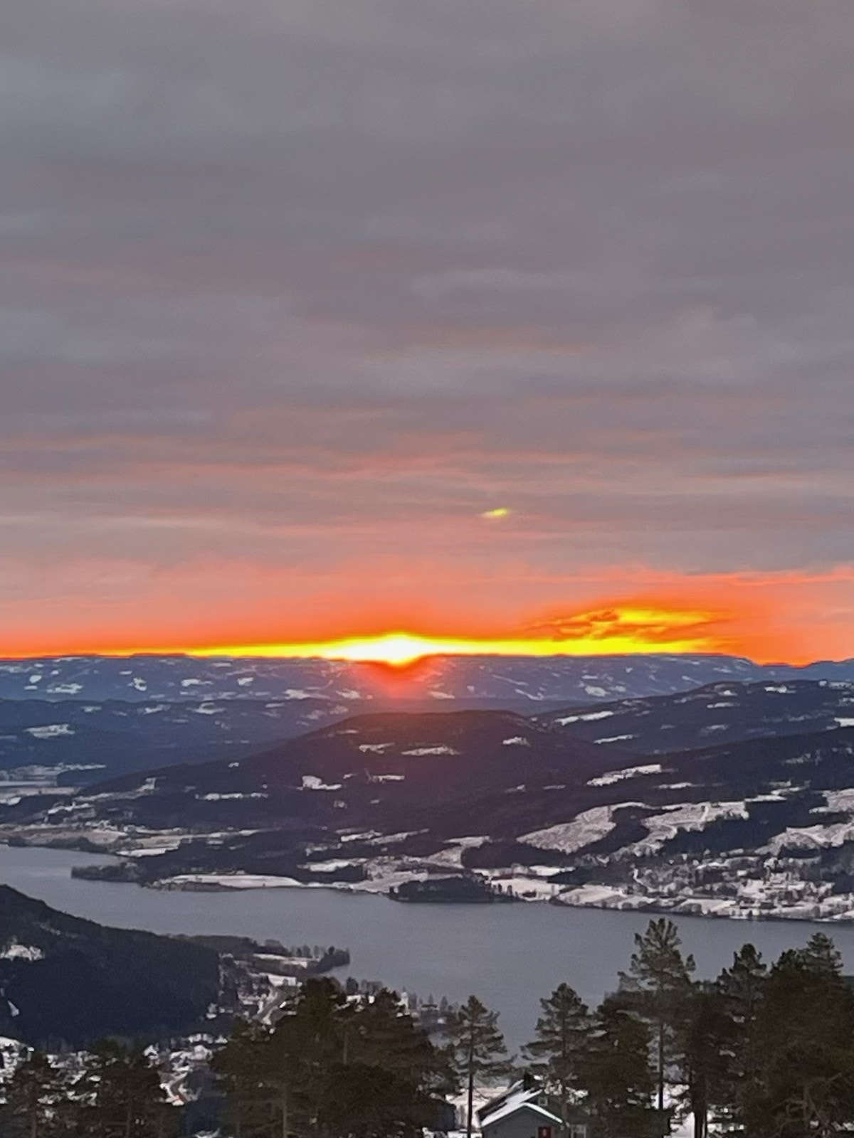 Selgers private bilde. Galleribilde