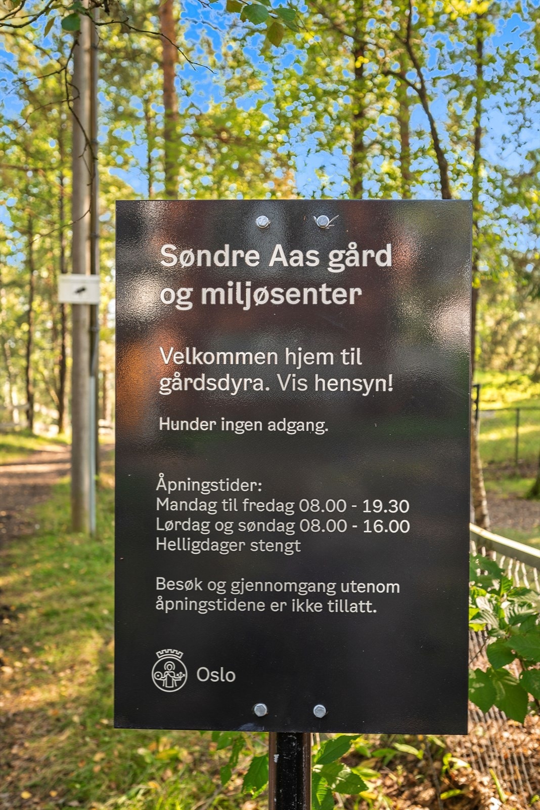 Nærhet til gårdsdyr og miljøsenter. Galleribilde