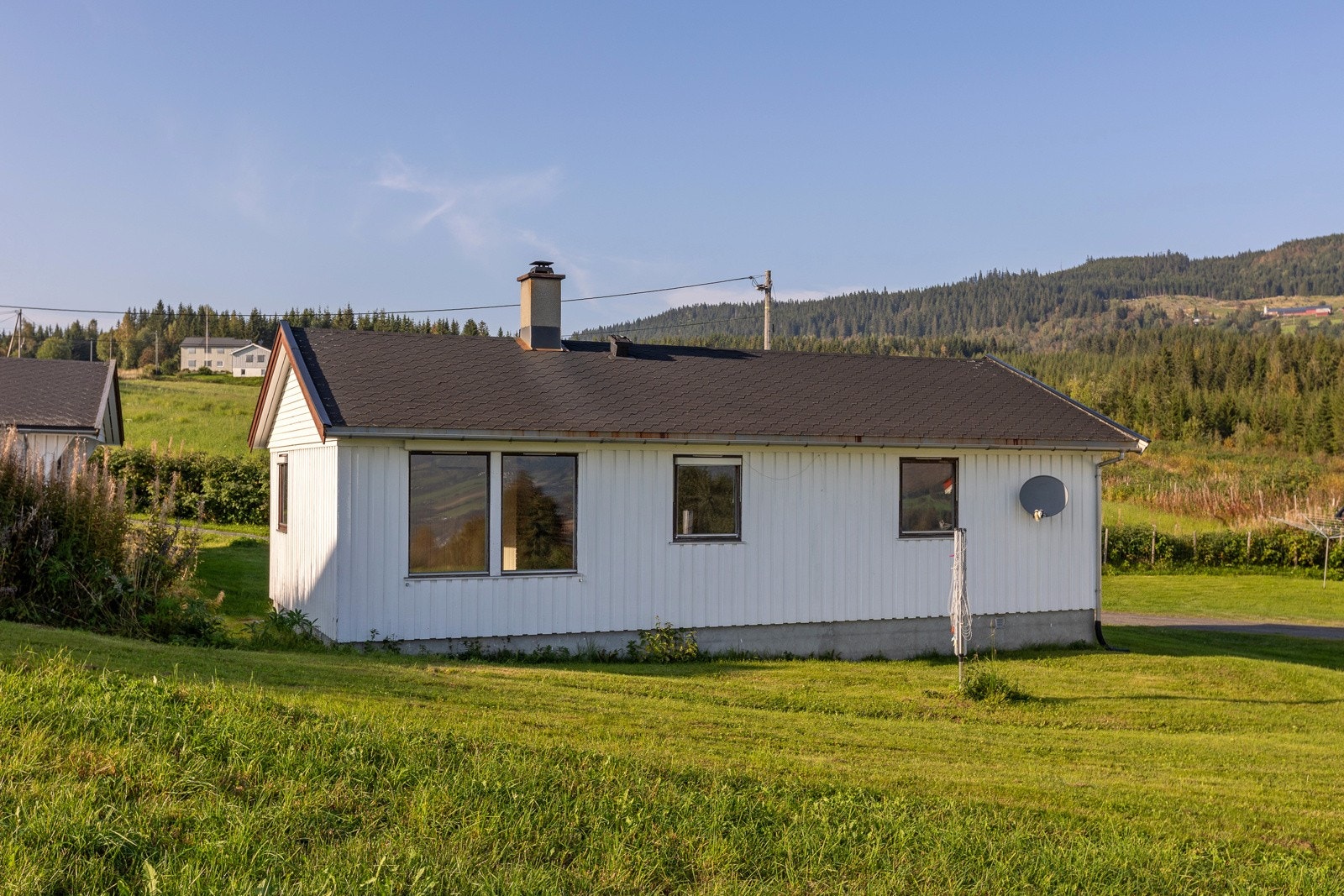 Hage med plenareal Galleribilde