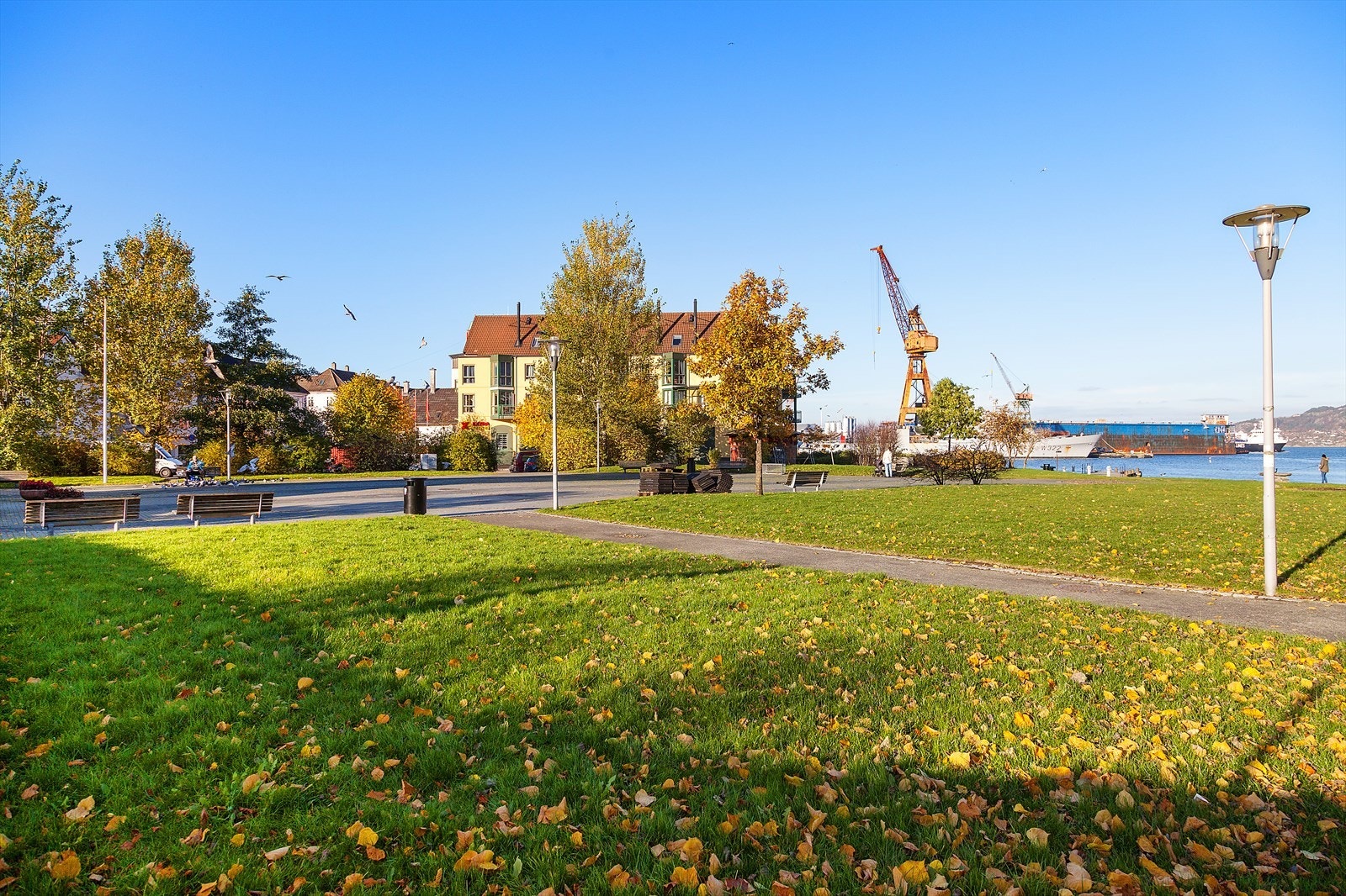 Pene parkområder på Laksevåg Galleribilde