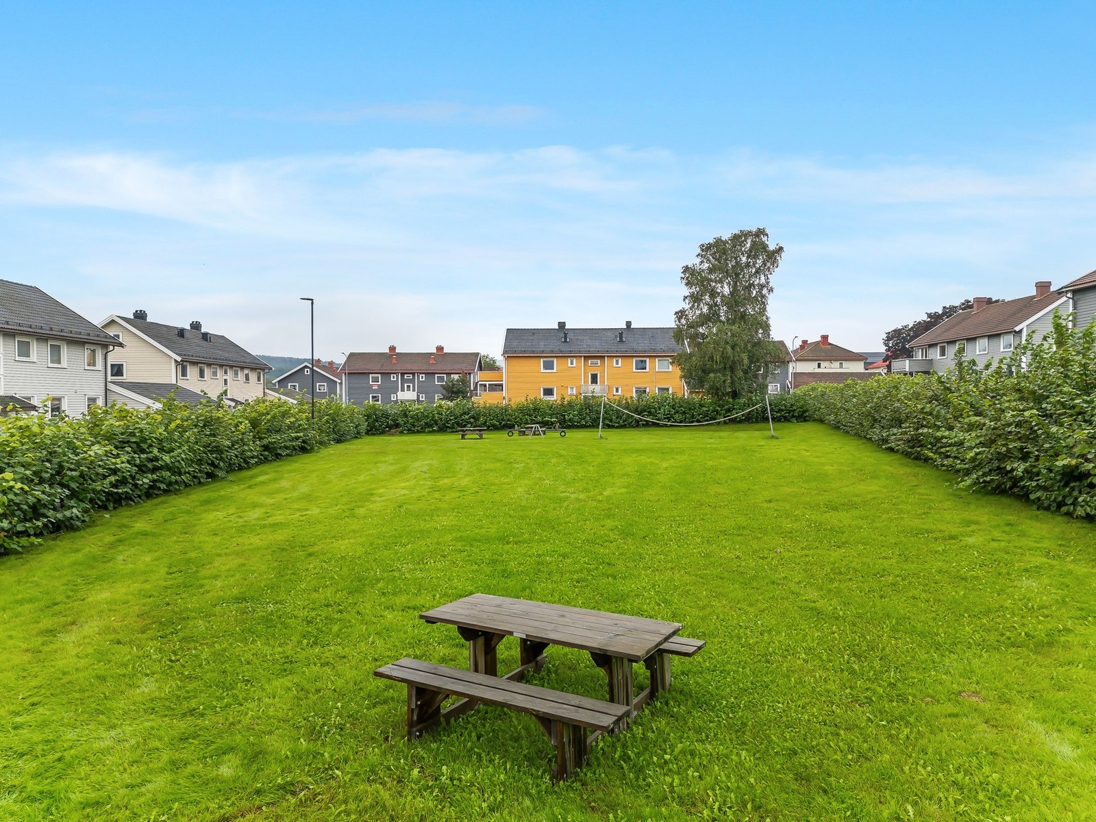 Nærområdet. Galleribilde