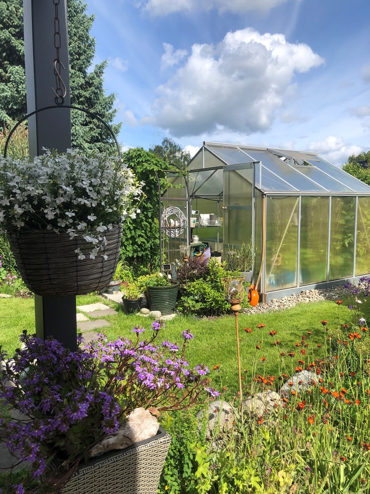 Selgers private bilder. Galleribilde