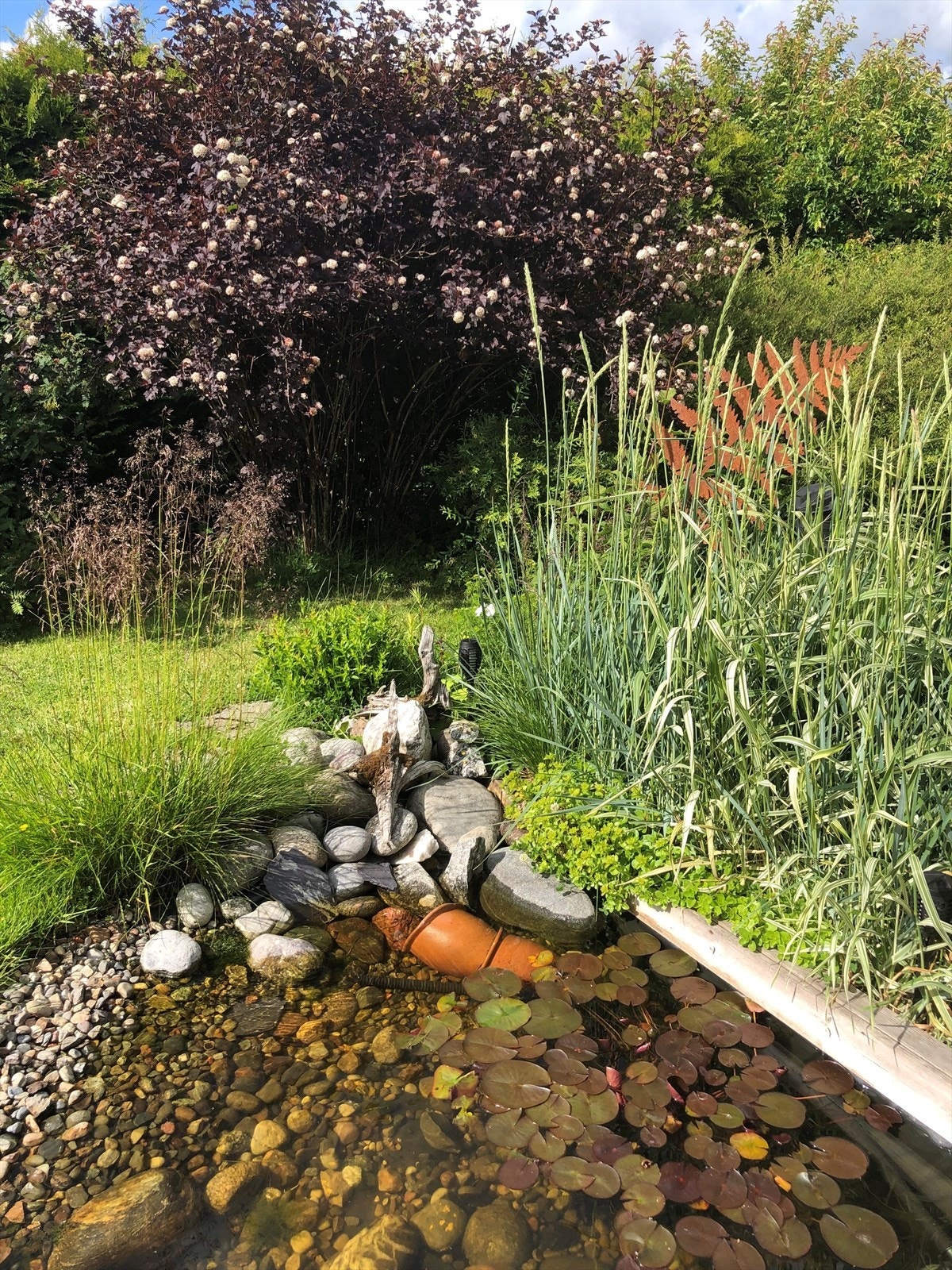 Selgers private bilder. Galleribilde