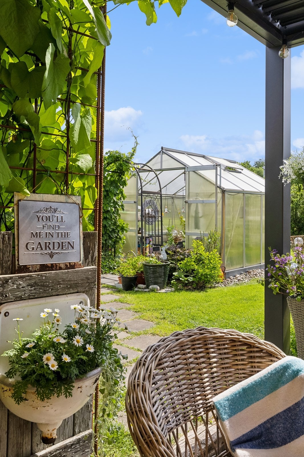 Drivhus Galleribilde