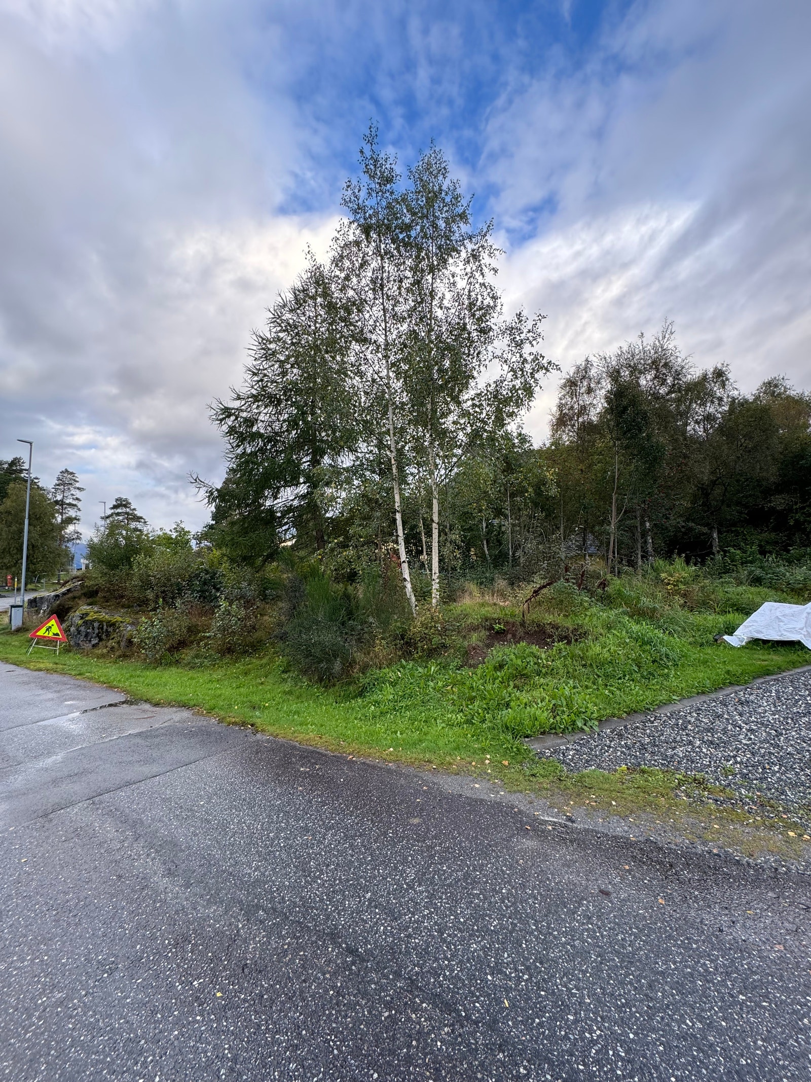 Tilkomsten til tomta er flat og fin. Galleribilde