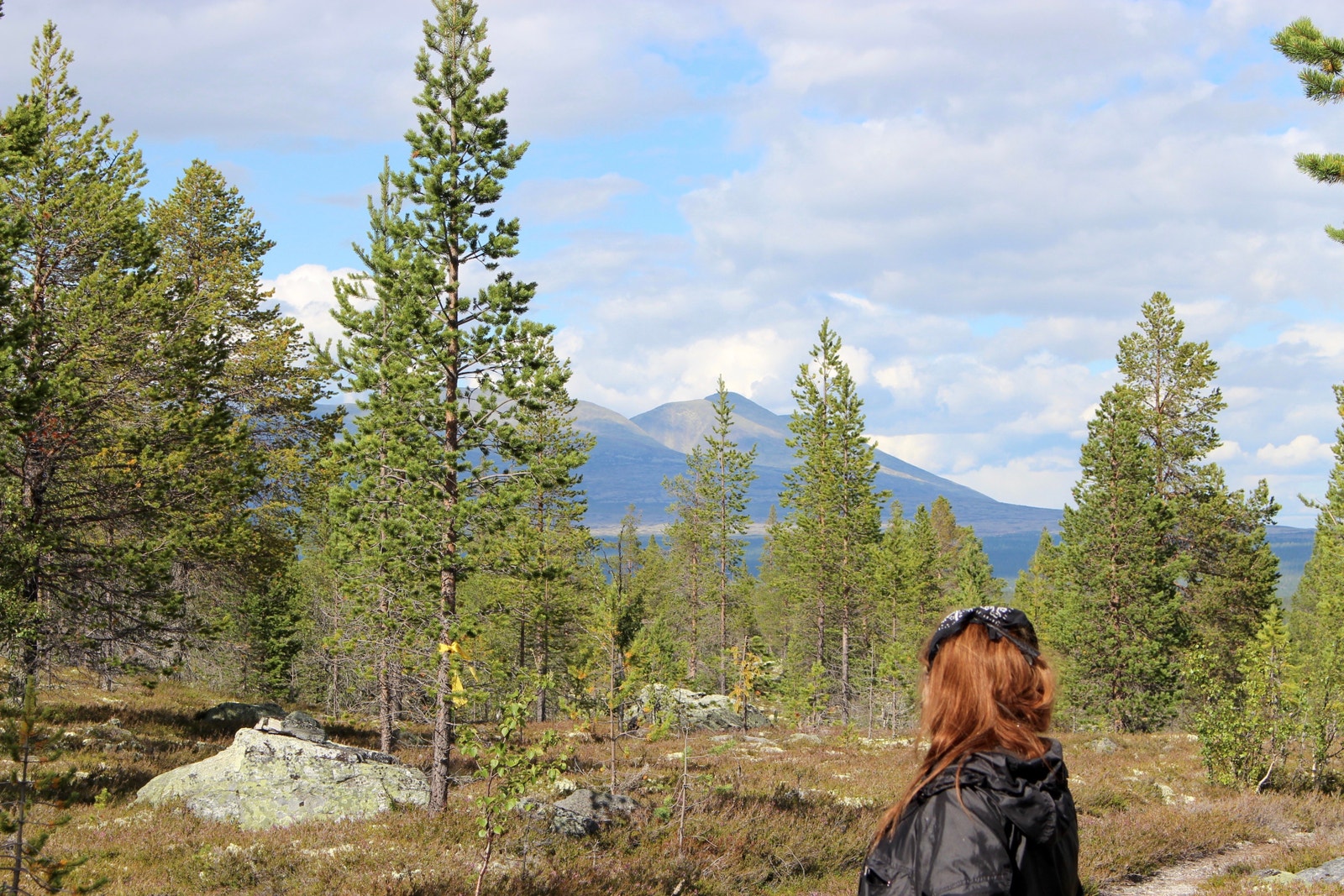 Jeanette gikk en tur på stien på Renålias fellesområde og hilster på "Dronning Sølen"! Vi har tinglyst at det aldri skal bygges ut på de store fellesområdene! De skal få ligge uberørte for all tid! Galleribilde