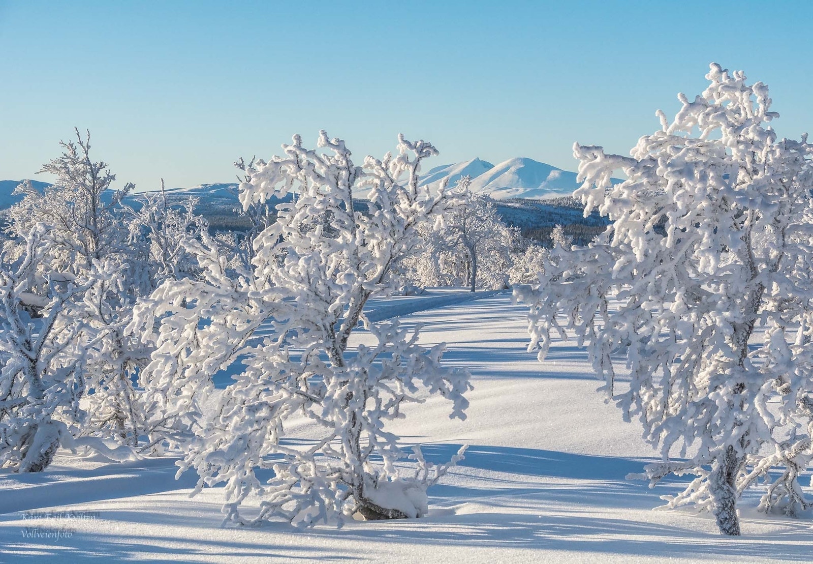 Vi starter i Rendalens vakre vinterlandskap! Sølen sett fra Valdalsfjellet.
foto: Kåre Egil Kvilten Galleribilde