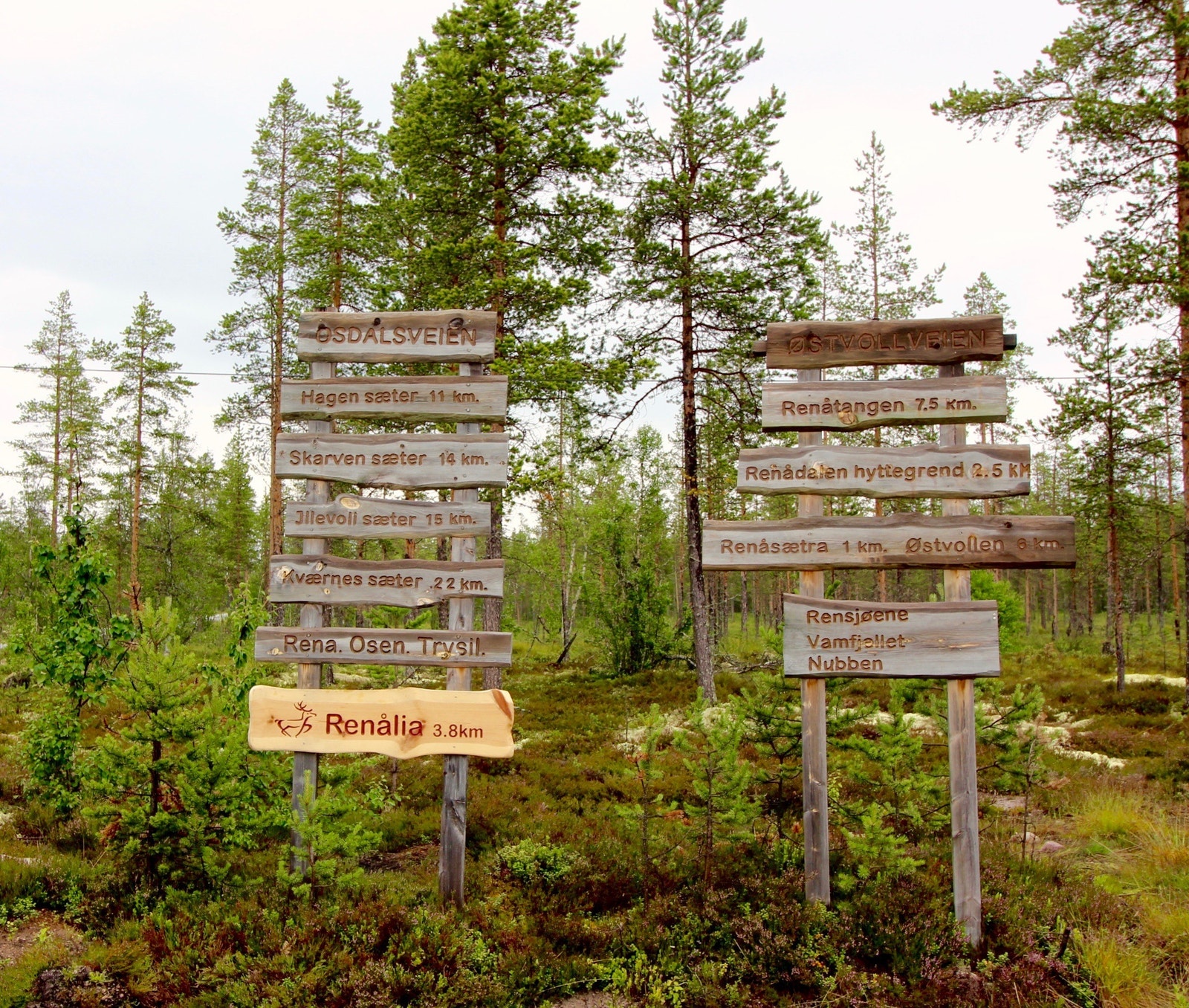Renålia har fått satt opp et flott skilt ved bommen ved Fv217 (Engerdalsveien). Herfra går Osdalsveien (vår) og Østvollveien. Galleribilde