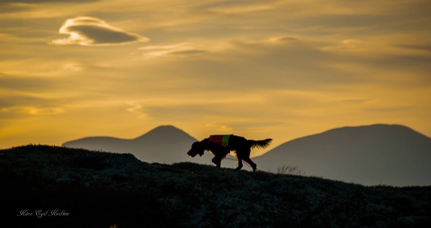 Takk for en fin dag sammen...
foto: Kåre Egil Kvilten Galleribilde