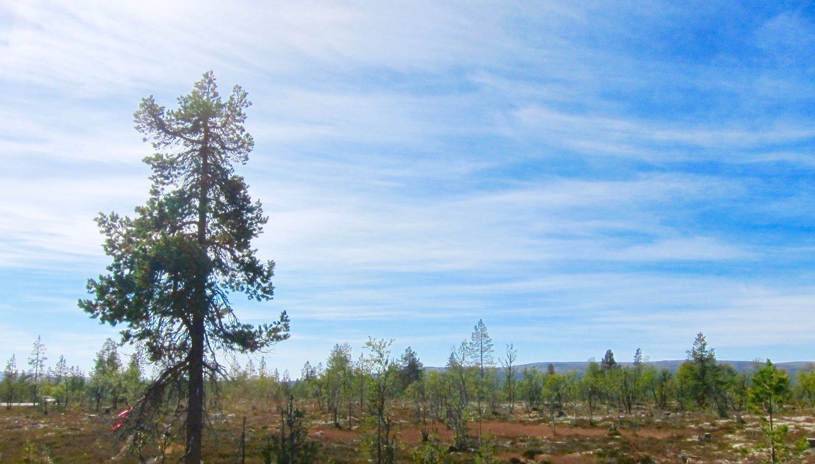 Nesten bare himmel, og resten frisk luft! Galleribilde