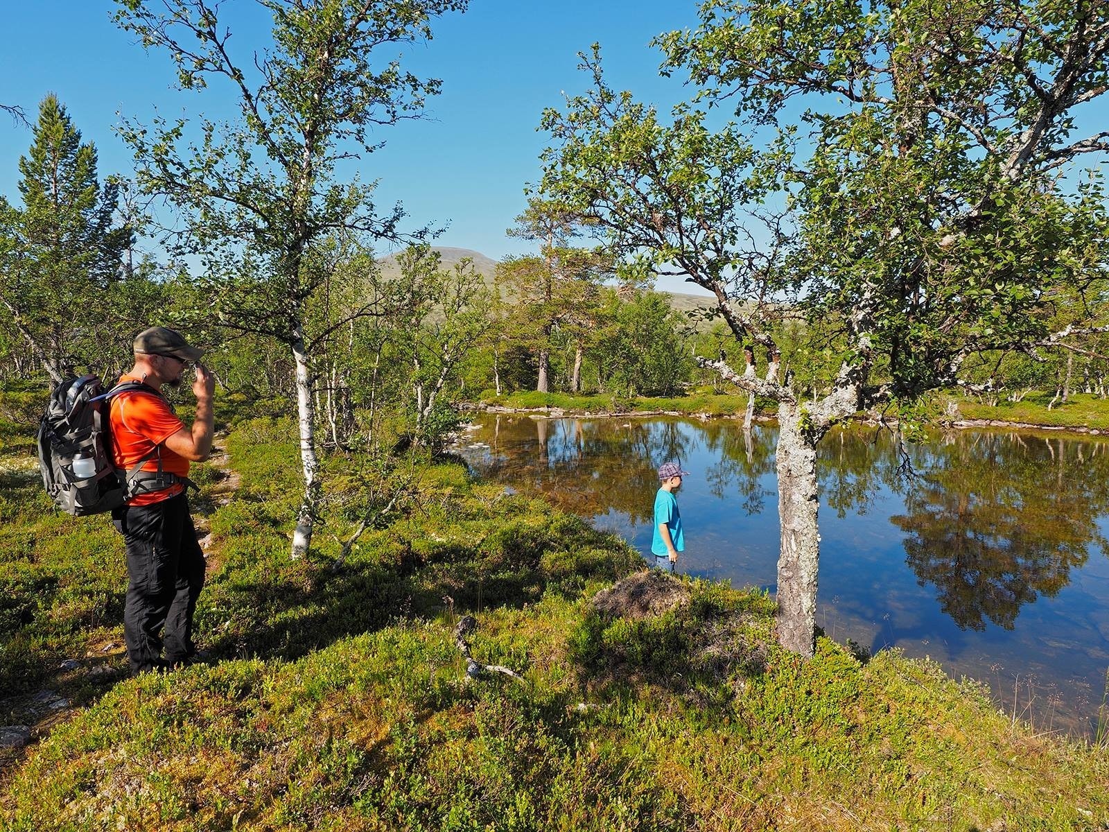 ..og for Erik, Bjørnar og 9 år gamle Jonas starter denne dagen med en tur til Sølen ved Nysetra ved Sølenhytta. De rusler gjennom vakker fjellskog og besøker her en glassklar liten pytt.. Galleribilde