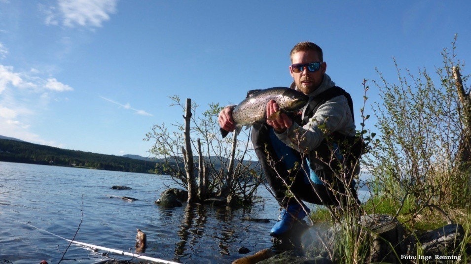 Nede ved Storsjøen igjen! Sjøen er ca.35 km lang, og er en fremragende innsjø for trolling etter storørret. Fiske her er attraktivt fra båt, men også fiske fra strandsonen kan gi svært gode resultater. Det kan fiskeekspert Inge Rønning skrive under på! Galleribilde