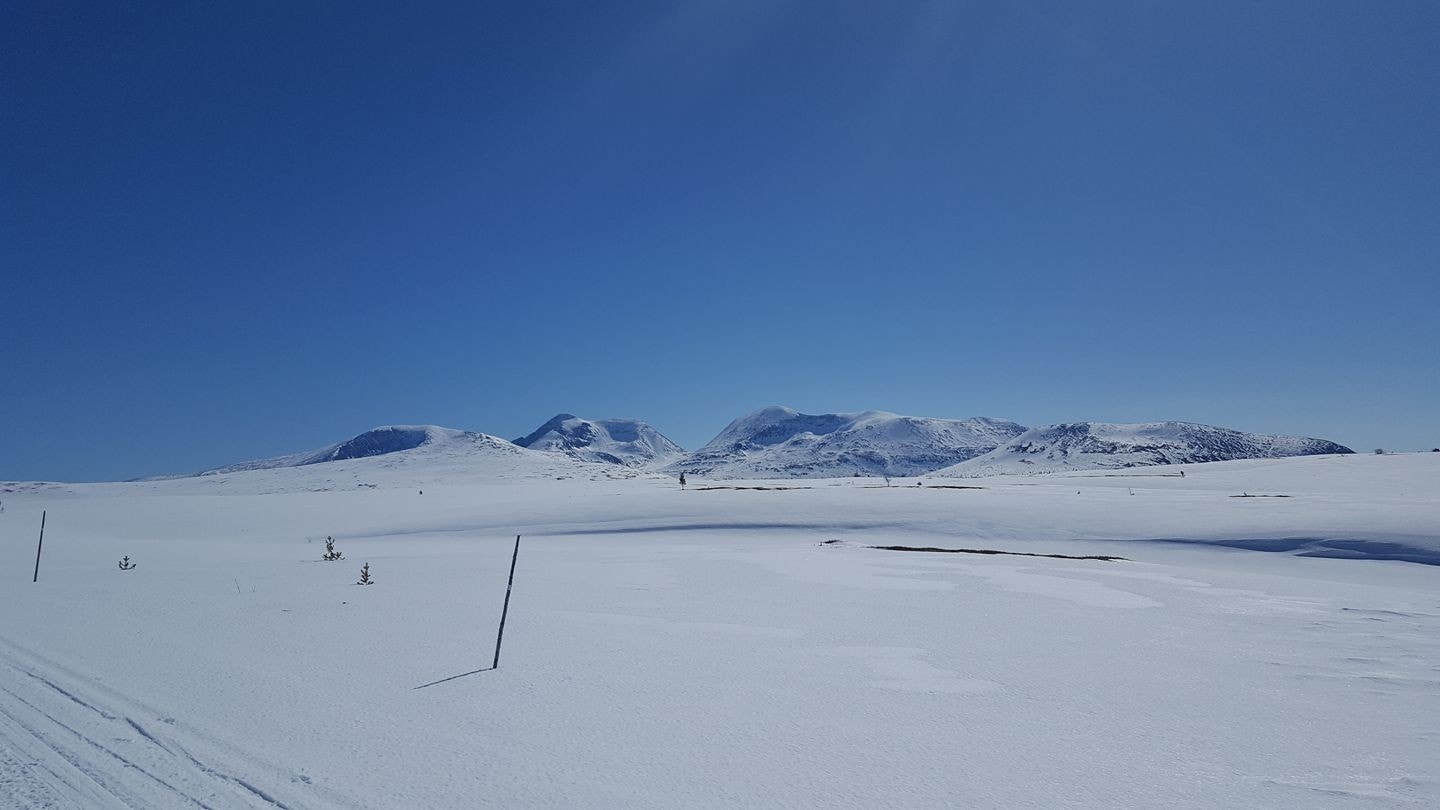 Ubeskrivelig vakkert! Galleribilde