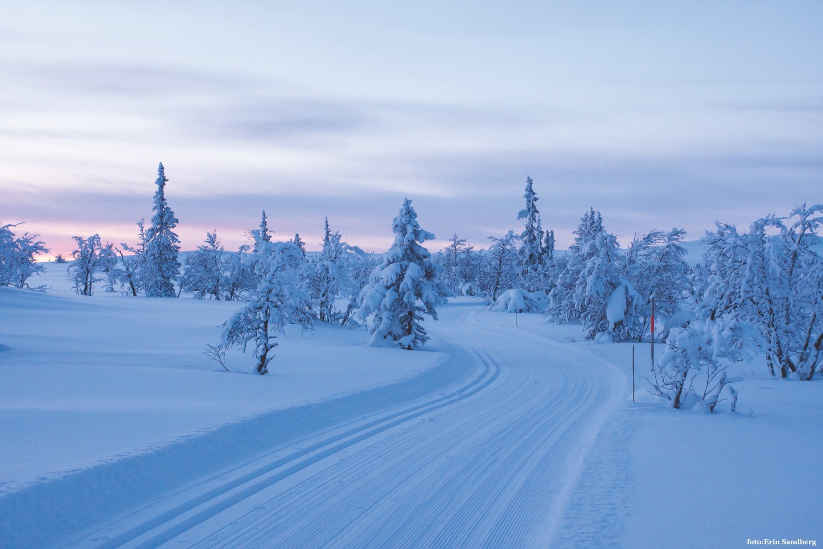 Mange flotte løyper i Rendalen! Stor takk til Rendalen løypelag!
foto: Erin Sandberg/www.turognatur.no Galleribilde